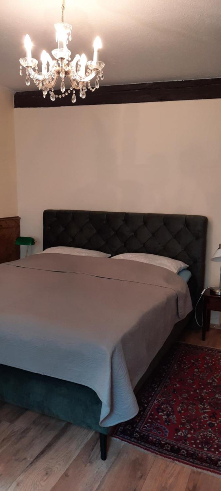 Altstadtapartment Rochusstrasse Mainz Bagian luar foto